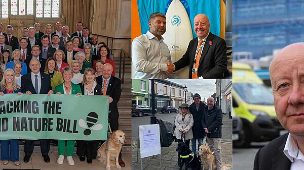 Montage photo from newsletter 
